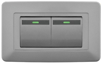INTERRUPTOR DOBLE GRIS